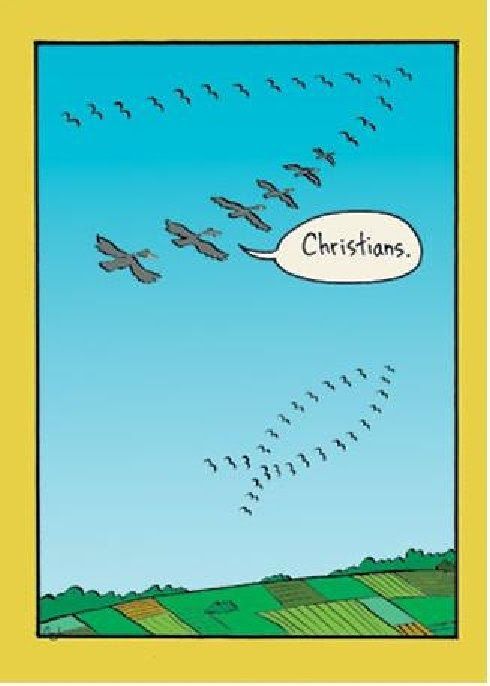 Christian Birds