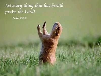 Everything with breath prays.