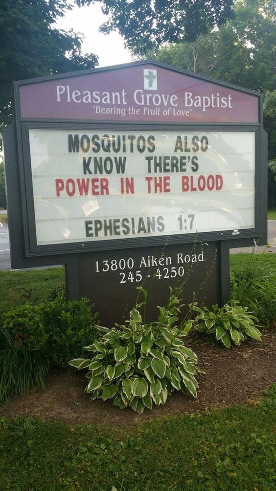 Mosquitoes know!